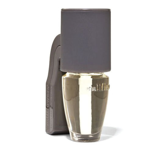 Gray Wallflowers Plug