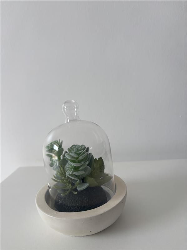 Glass Petal Pod