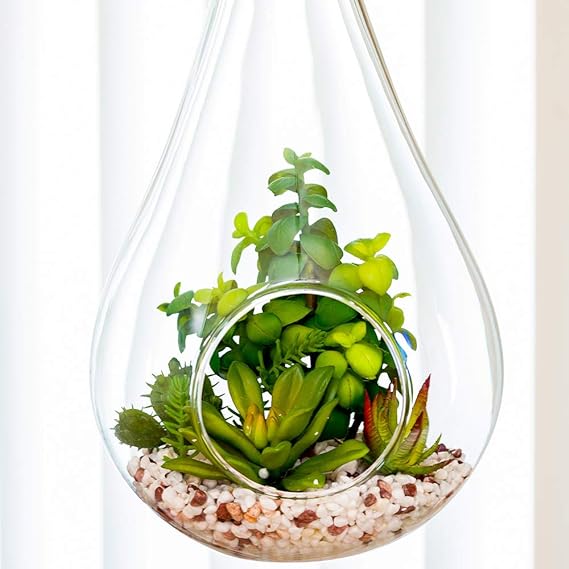 Succulent Terrarium Teardrop